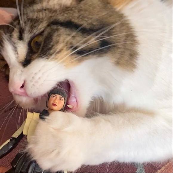 Meet your Posher, Ruka - Picture 1 of 1